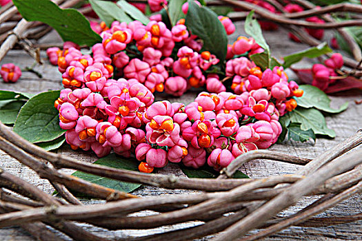 编织物,藤条,纺锤,花圈