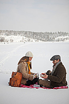 中年,夫妻,野餐,冬天,风景