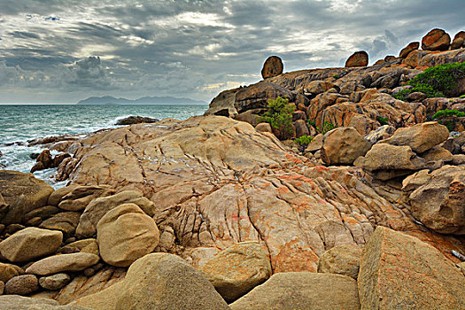 石头,海岸,马掌,湾,昆士兰,澳大利亚
