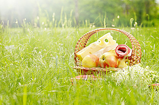 野餐篮,苹果,香蕉,奶酪,青草