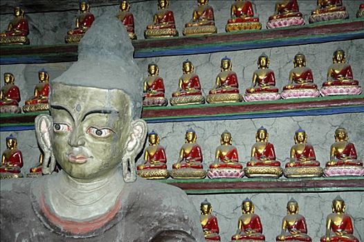 佛像,许多,小,布拉加,喇嘛寺,安娜普纳地区,尼泊尔
