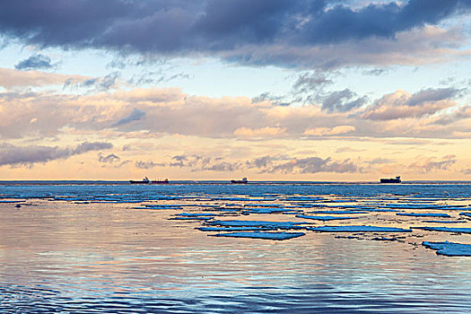 冬天,海边风景,大,冰,碎片,货船,地平线,海湾,芬兰,俄罗斯