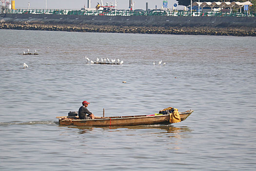 珠海市情侣路旅游风景钓鱼图片