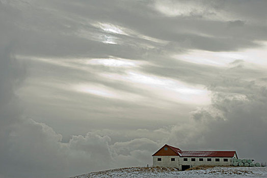 白色,谷仓,雪景,冰岛