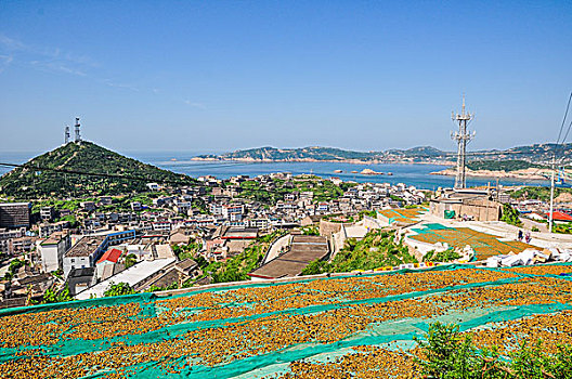 夏天嵊山岛上晒贻贝