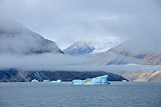 冰山,峡湾,格陵兰