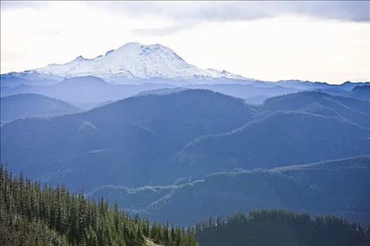 雷尼尔山,斯诺夸尔米山口,华盛顿,美国