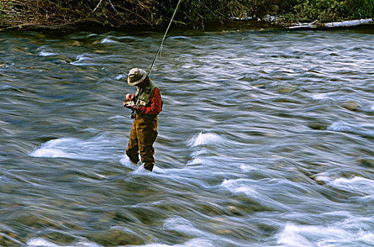 渔民,选择,使用,溪流,靠近,蒙大拿