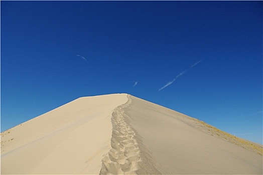 莫哈维沙漠,沙丘,加利福尼亚