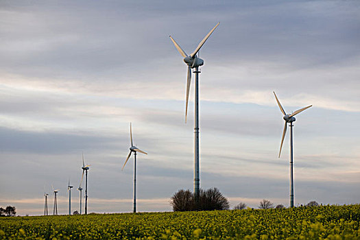 风,农场,靠近,北莱茵威斯特伐利亚,德国,欧洲
