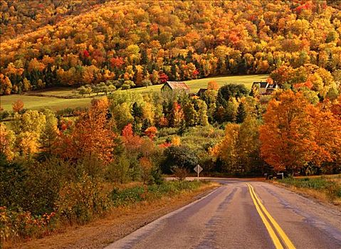 秋天,山谷,新斯科舍省,加拿大