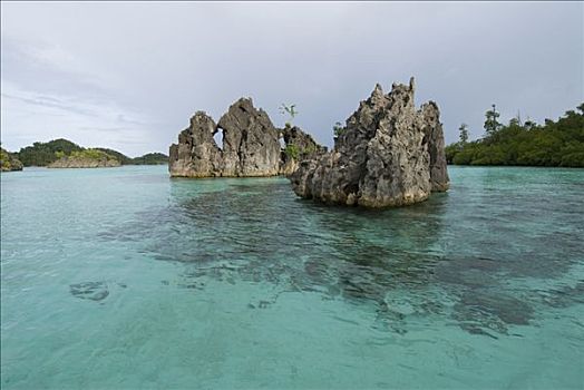 石灰石,岛屿,珊瑚礁,印度尼西亚
