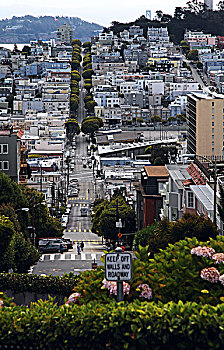 旧金山九曲花街,lombardstreet