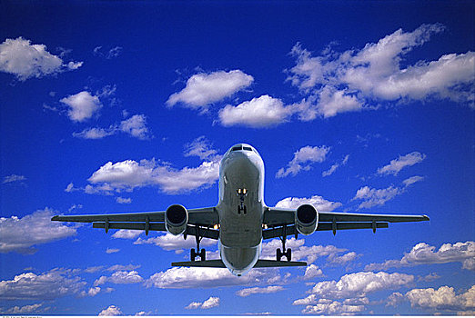空中客车,a320,喷气式飞机,降落,卡尔加里,艾伯塔省,加拿大