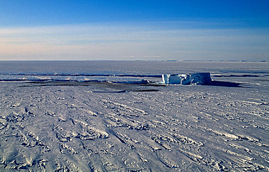 南极,冰,架子,航拍,帝企鹅,生物群