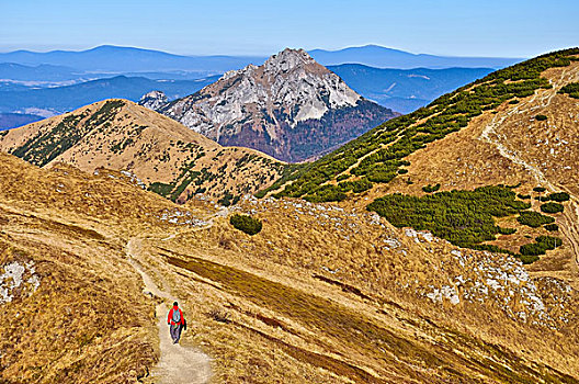 斯洛伐克,山,跋涉,小路,长途旅行者