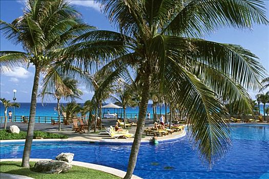酒店,游泳池,坎昆,马雅里维拉,尤卡坦半岛,墨西哥,北美