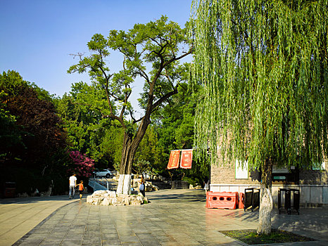 大明湖风景区