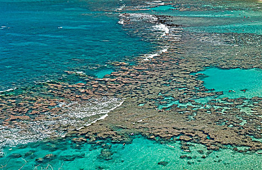 俯视,恐龙湾,礁石,水下呼吸管,靠近,瓦胡岛,夏威夷