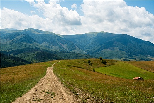 土路,风景,乌克兰,喀尔巴阡山脉