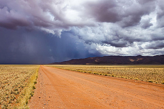 雨,正面,道路,南方,纳米比亚,非洲
