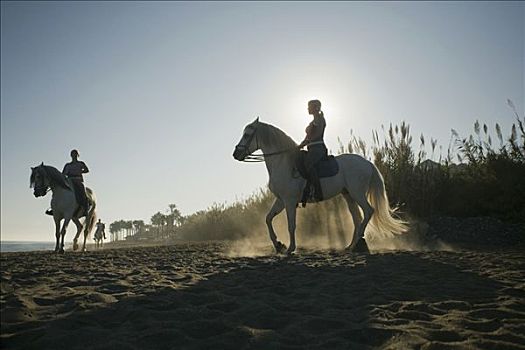 三个女人,骑马,海滩