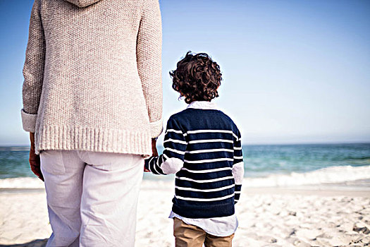 后视图,母亲,儿子,握手,海滩