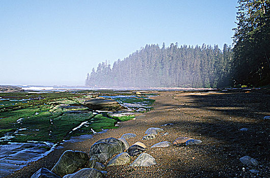 环太平洋国家公园,西海岸小径,海滩,河,温哥华岛,不列颠哥伦比亚省,加拿大