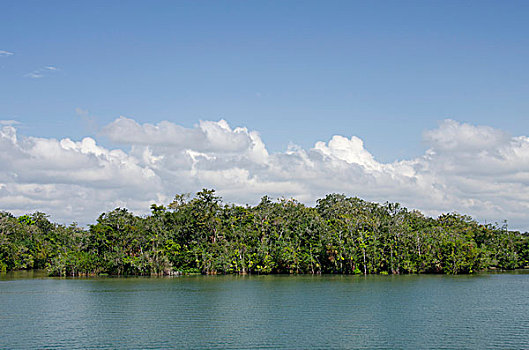 危地马拉,国家公园,可爱,河,加勒比海,湖,特色,河边,风景