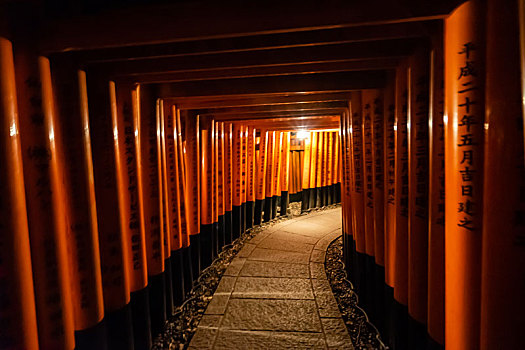 日本京都伏见稻荷大社千本鸟居夜景