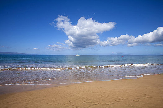 波浪,海滩,一个,毛伊岛,夏威夷,美国