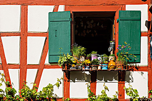 窗户,花,装饰,老,半木结构房屋,康士坦茨湖,巴登符腾堡,德国,欧洲