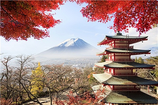 山,富士山,秋色,日本,效用,使用