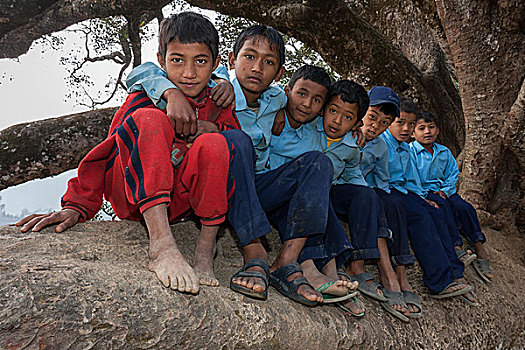 尼泊尔人,学生,穿,校服,坐,树,尼泊尔,亚洲
