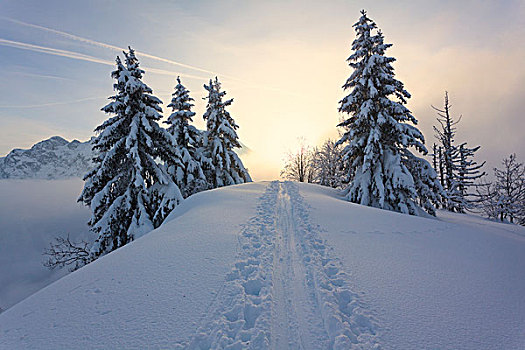 滑雪道,巴伐利亚,德国