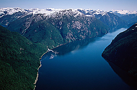 俯视,小湾,瀑布,中心,海岸,不列颠哥伦比亚省,加拿大