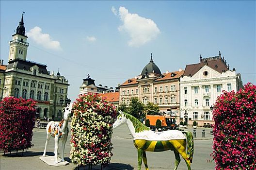 广场,马,雕塑,市政厅,后面