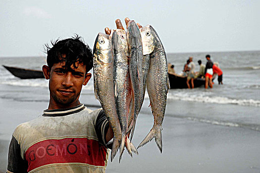 渔民,抓住,湾,孟加拉,2008年