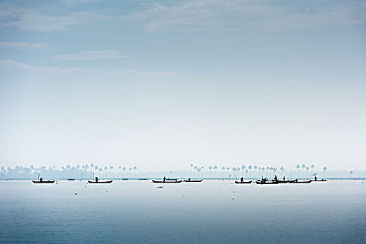 海扇类,船,湖,喀拉拉,印度,亚洲