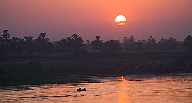 巡航,尼罗河,河,太阳,埃及
