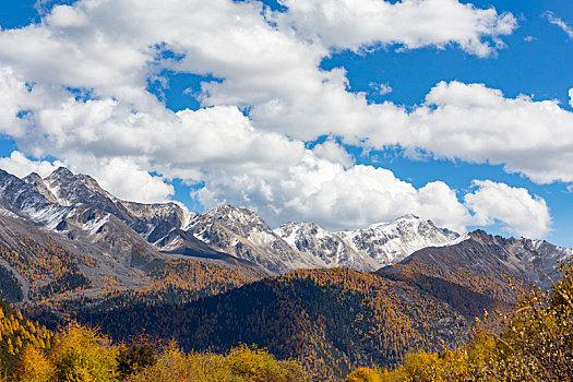 雅拉雪山