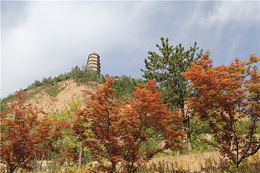 延安宝塔山脚下的风景