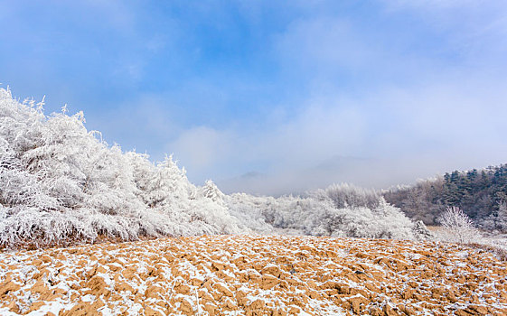 陕西宝鸡太白县衙岭雪景