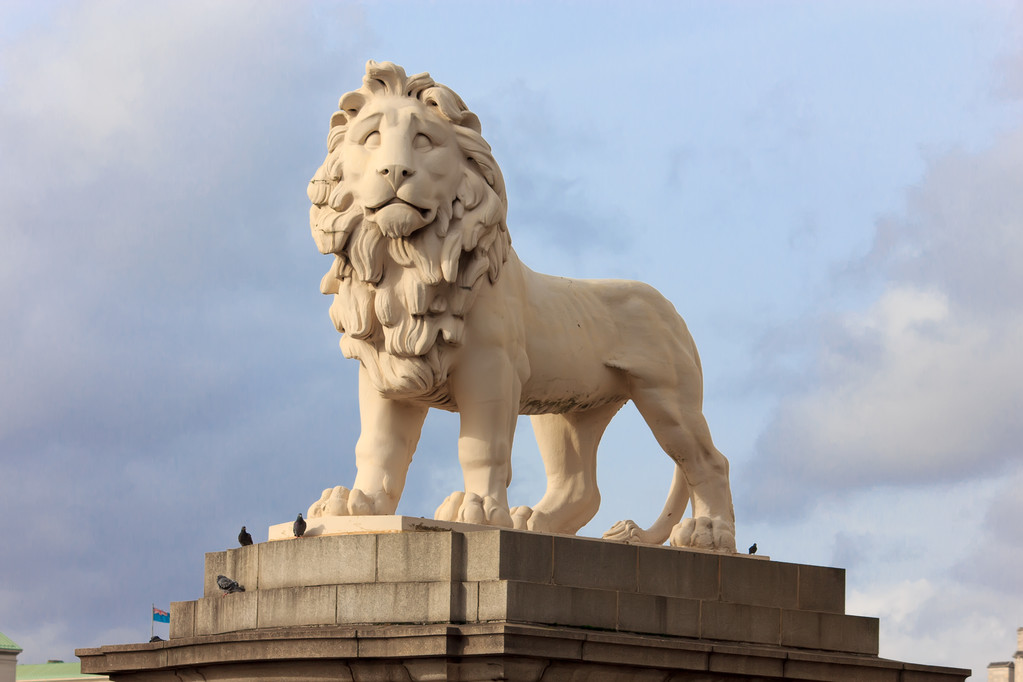 英国的代表动物狮子图片