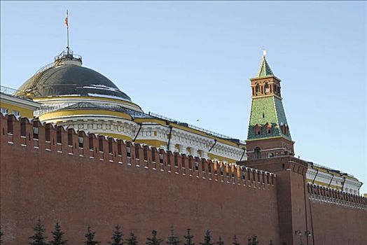 克里姆林宫,墙,俄罗斯,参议院,塔,莫斯科