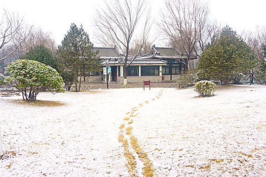 济南五龙潭雪景