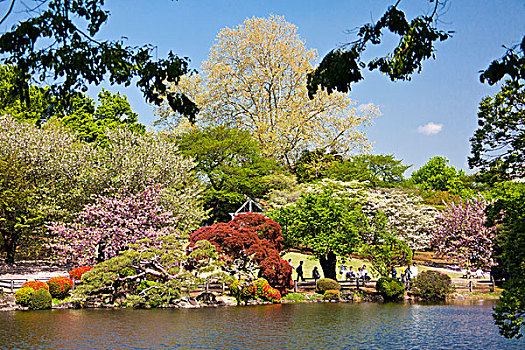 日本,新宿,花园