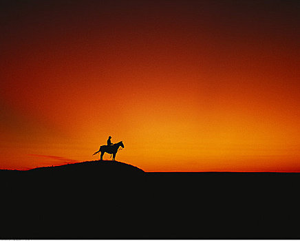 剪影,男人,骑马,日落,草原国家公园,萨斯喀彻温,加拿大