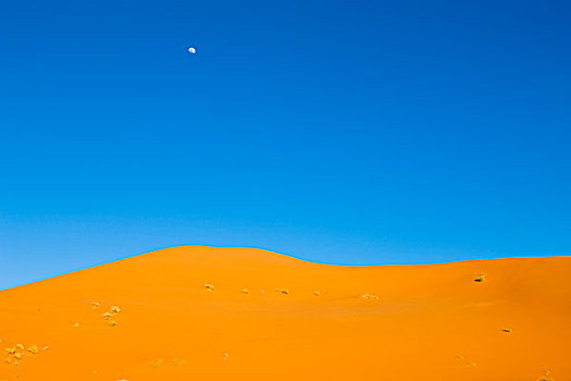 满月,蓝天,高处,沙丘,撒哈拉沙漠