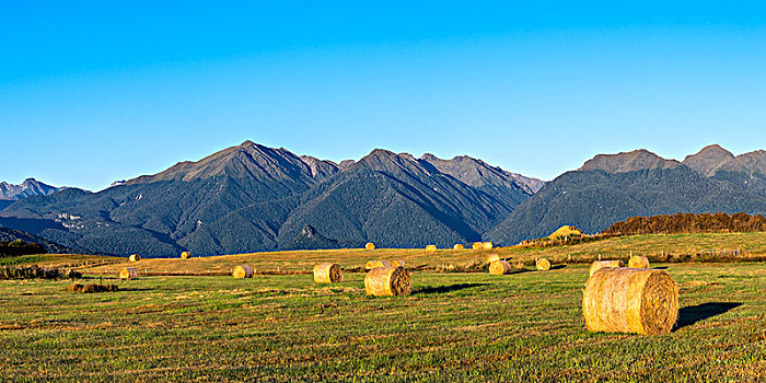 南方,景色,路线,峡湾国家公园,南部地区,区域,南岛,新西兰,大洋洲